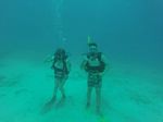 Hawaii Scuba divng 10