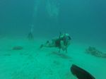 Hawaii Scuba divng 11