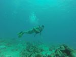 Hawaii Scuba divng 12