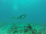 Hawaii Scuba divng 13