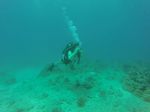 Hawaii Scuba divng 14