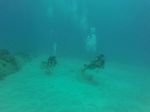 Hawaii Scuba divng 16