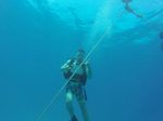 Hawaii Scuba divng 01