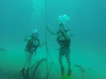 Hawaii Scuba divng 21