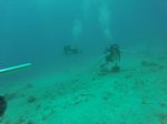 Hawaii Scuba divng 29