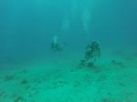 Hawaii Scuba divng 30