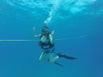 Hawaii Scuba divng 03