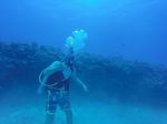 Hawaii Scuba divng 47