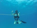 Hawaii Scuba divng 04