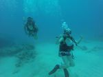 Hawaii Scuba divng 51