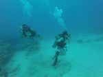 Hawaii Scuba divng 52