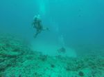 Hawaii Scuba divng 53