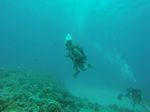 Hawaii Scuba divng 54