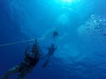 Hawaii Scuba divng 05