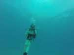 Hawaii Scuba divng 06