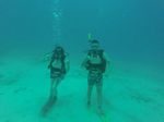 Hawaii Scuba divng 09