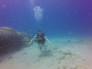 Hawaii Scuba divng 10