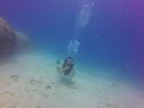 Hawaii Scuba divng 11