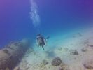 Hawaii Scuba divng 12