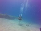 Hawaii Scuba divng 14