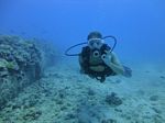 Hawaii Scuba divng 11