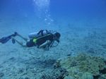 Hawaii Scuba divng 15