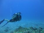 Hawaii Scuba divng 16