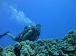 Hawaii Scuba divng 17