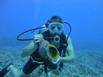 Hawaii Scuba divng 18