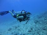 Hawaii Scuba divng 20