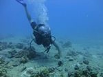 Hawaii Scuba divng 30