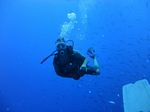 Hawaii Scuba divng 34