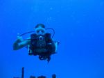 Hawaii Scuba divng 38