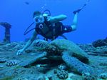 Hawaii Scuba divng 49