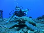 Hawaii Scuba divng 51