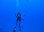 Hawaii Scuba divng 69