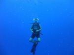 Hawaii Scuba divng 70