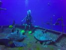 Hawaii Scuba divng 10