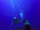 Hawaii Scuba divng 12