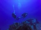 Hawaii Scuba divng 14