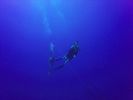 Hawaii Scuba divng 15