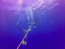 Hawaii Scuba divng 01