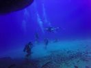 Hawaii Scuba divng 29