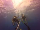 Hawaii Scuba divng 41