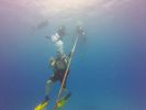 Hawaii Scuba divng 42