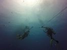 Hawaii Scuba divng 43