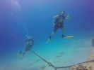 Hawaii Scuba divng 44