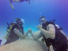 Hawaii Scuba divng 49