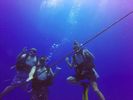 Hawaii Scuba divng 04