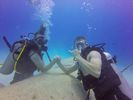 Hawaii Scuba divng 51